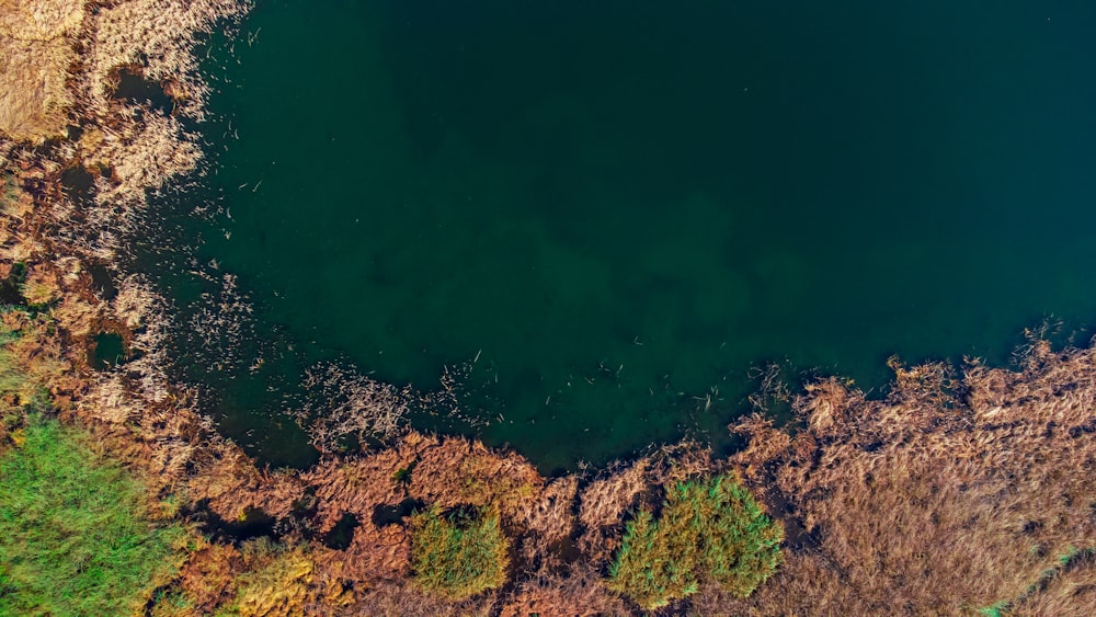 a large body of water surrounded by land