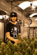 A person stands in an indoor cultivation facility surrounded by cannabis plants. They are wearing a black hat with a leaf design and a black t-shirt featuring a printed graphic. The environment is illuminated by hanging lights, and ventilation ductwork is visible above.