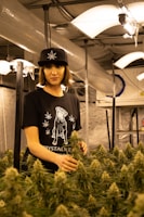 A person stands in an indoor cultivation facility surrounded by cannabis plants. They are wearing a black hat with a leaf design and a black t-shirt featuring a printed graphic. The environment is illuminated by hanging lights, and ventilation ductwork is visible above.