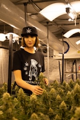A person stands in an indoor cultivation facility surrounded by cannabis plants. They are wearing a black hat with a leaf design and a black t-shirt featuring a printed graphic. The environment is illuminated by hanging lights, and ventilation ductwork is visible above.