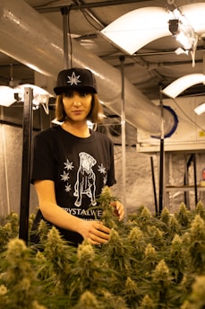A person stands in an indoor cultivation facility surrounded by cannabis plants. They are wearing a black hat with a leaf design and a black t-shirt featuring a printed graphic. The environment is illuminated by hanging lights, and ventilation ductwork is visible above.