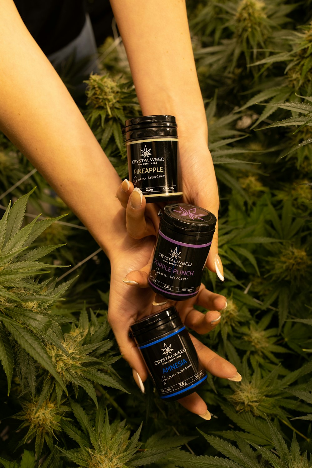 a woman holding three bottles of cannabis oil