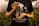 A person is holding a small bottle with a dropper in their hands. The person is wearing a black t-shirt featuring a design with a dog and cannabis leaves, along with the text 'CRYSTALWEED' and 'HIGH QUALITY CBD'. In the background, there are rows of cannabis plants, suggesting an indoor growing facility.