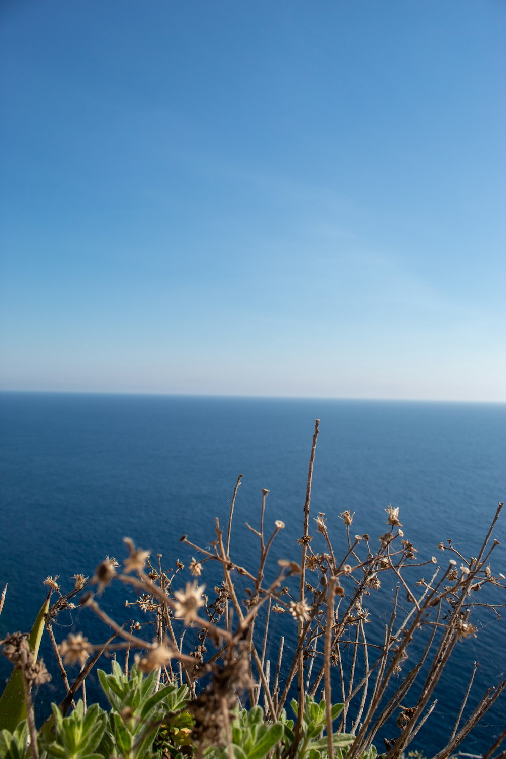 a view of the ocean from a cliff