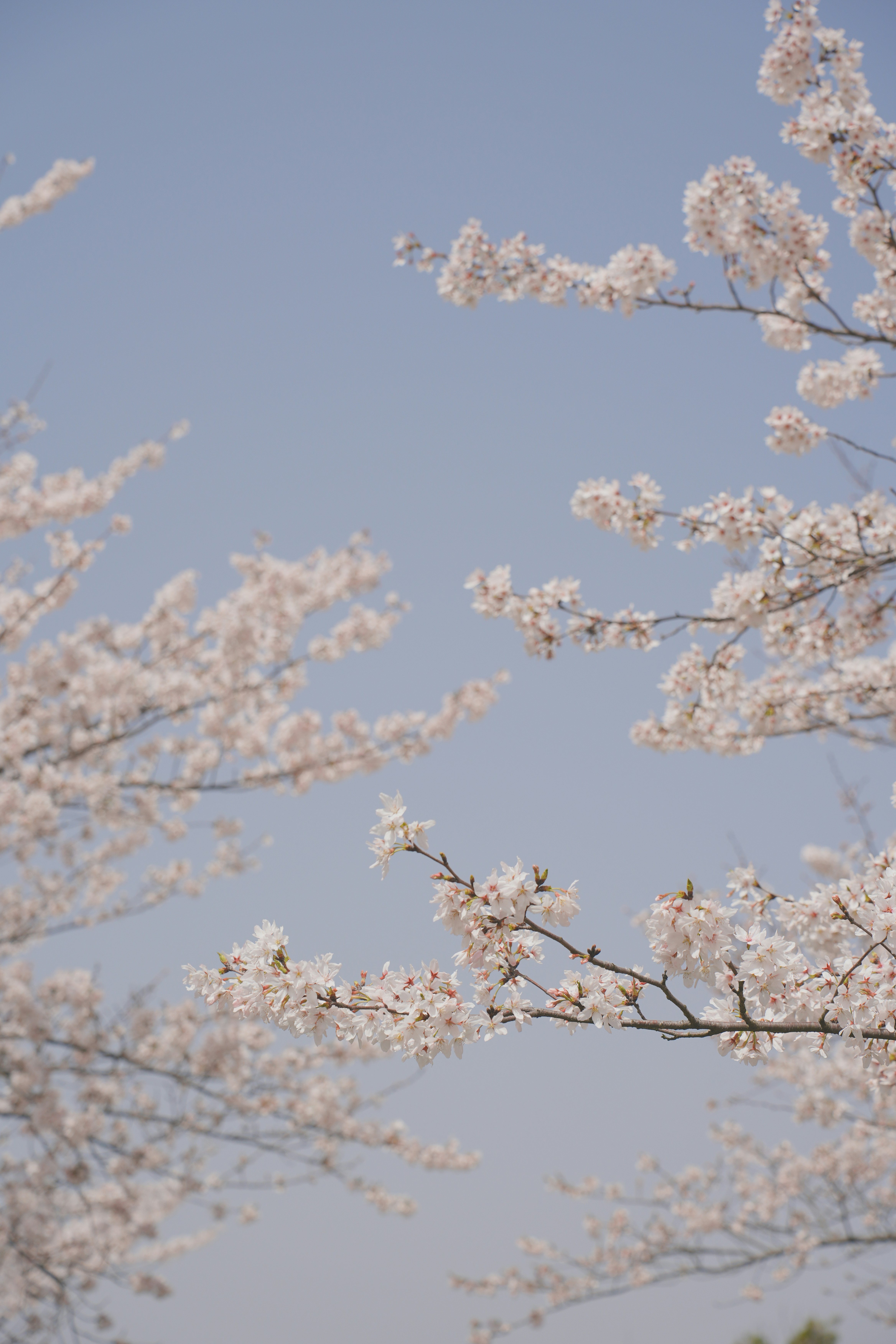 Photo by yuanshengbo