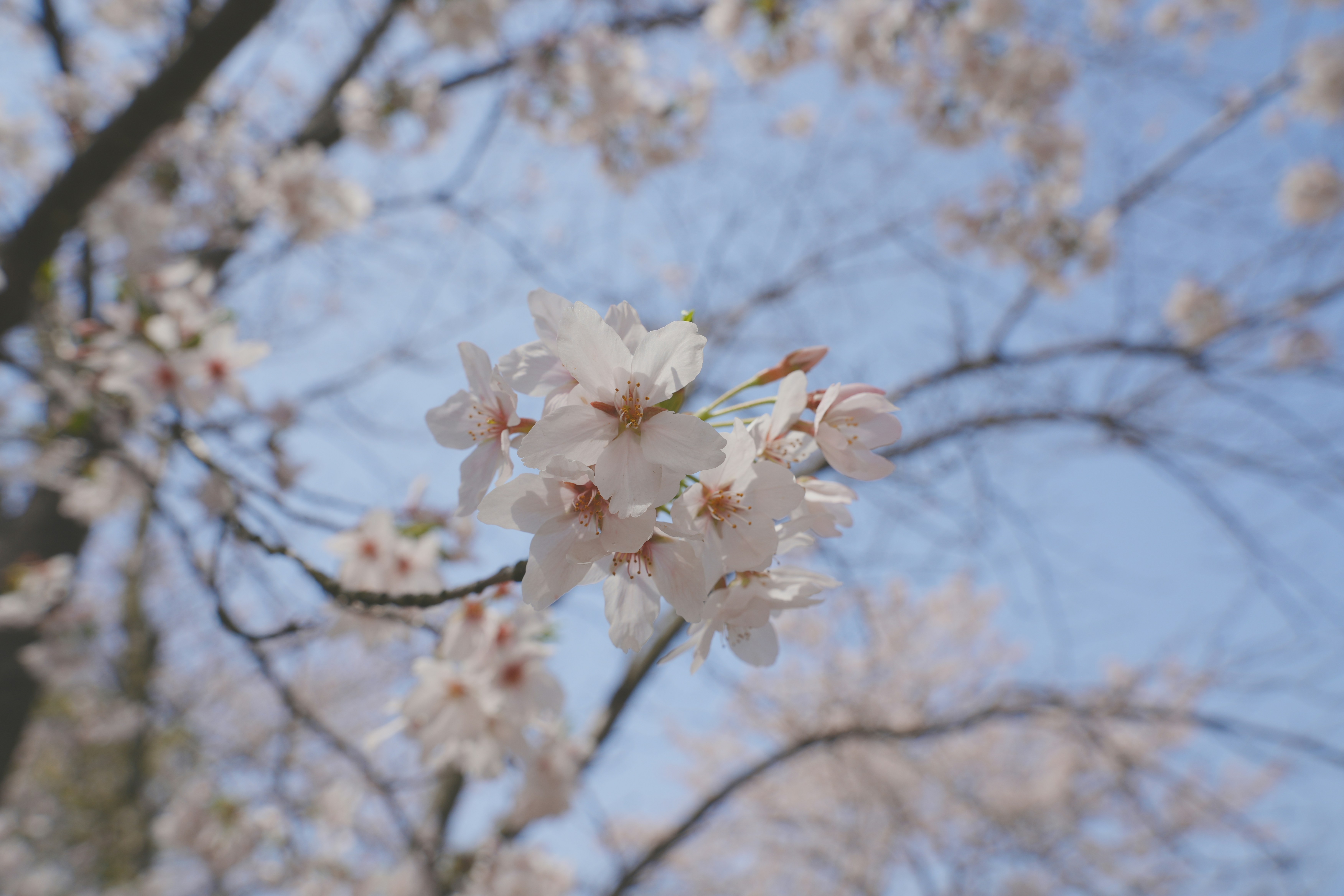 Photo by yuanshengbo