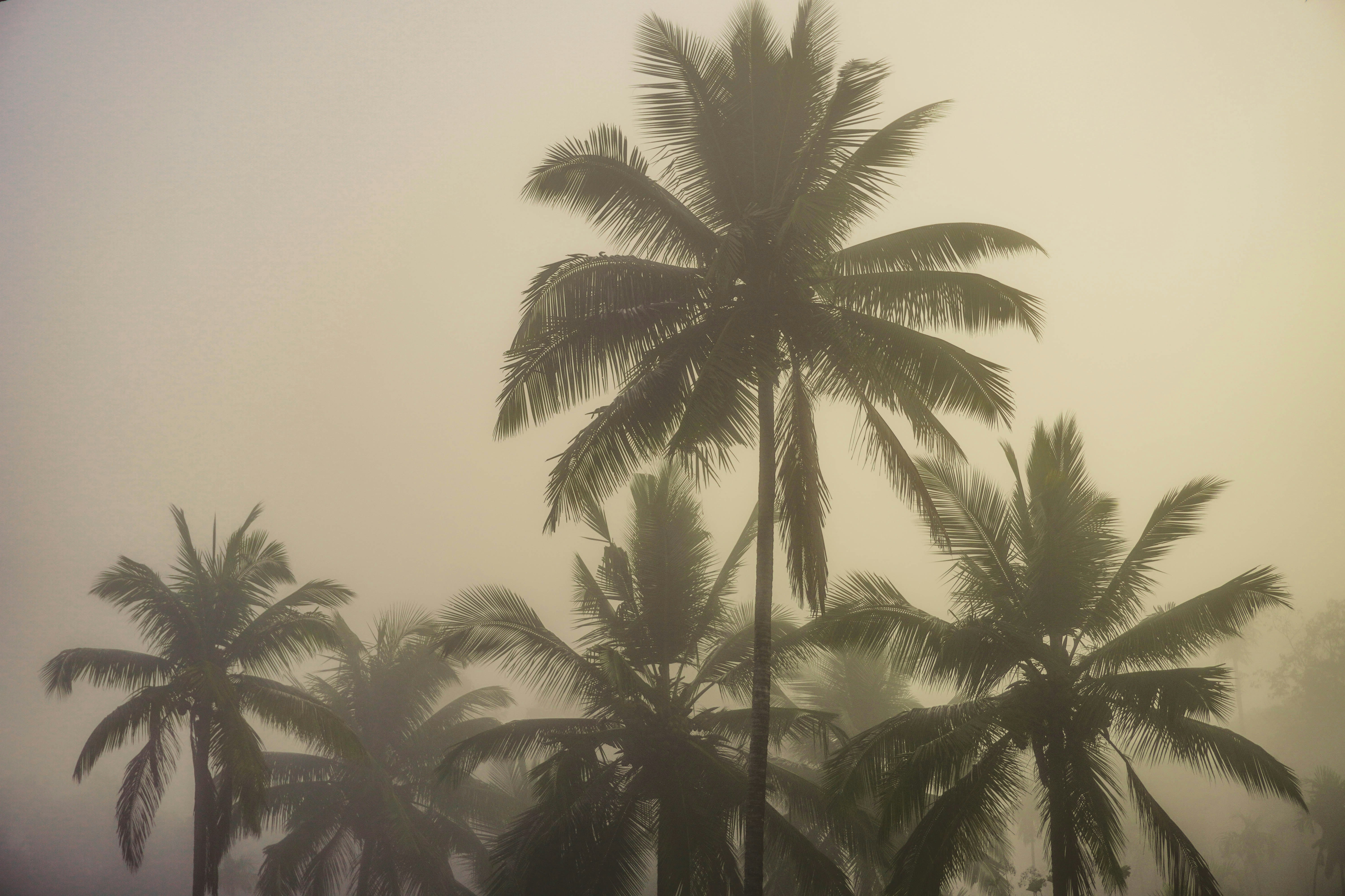 Photo by hardikmonga