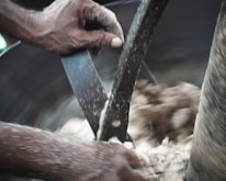 A skilled technician operating a meat grinder.