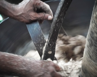 A close-up of a person using a kitchen gadget.