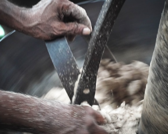 Close-up of hands using a bright orange-handled kitchen tool from Cocina d' Casa.