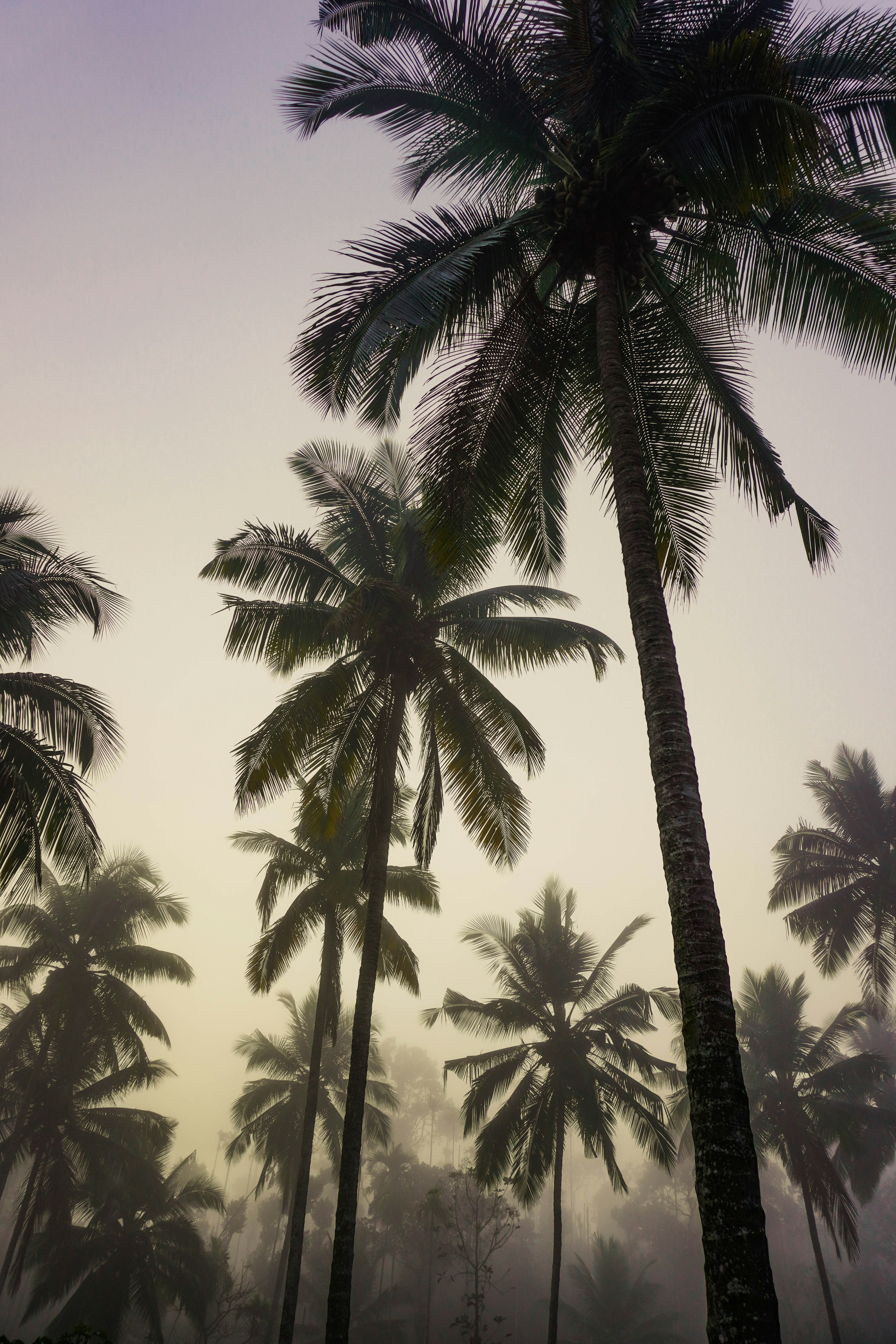 Photo by hardikmonga