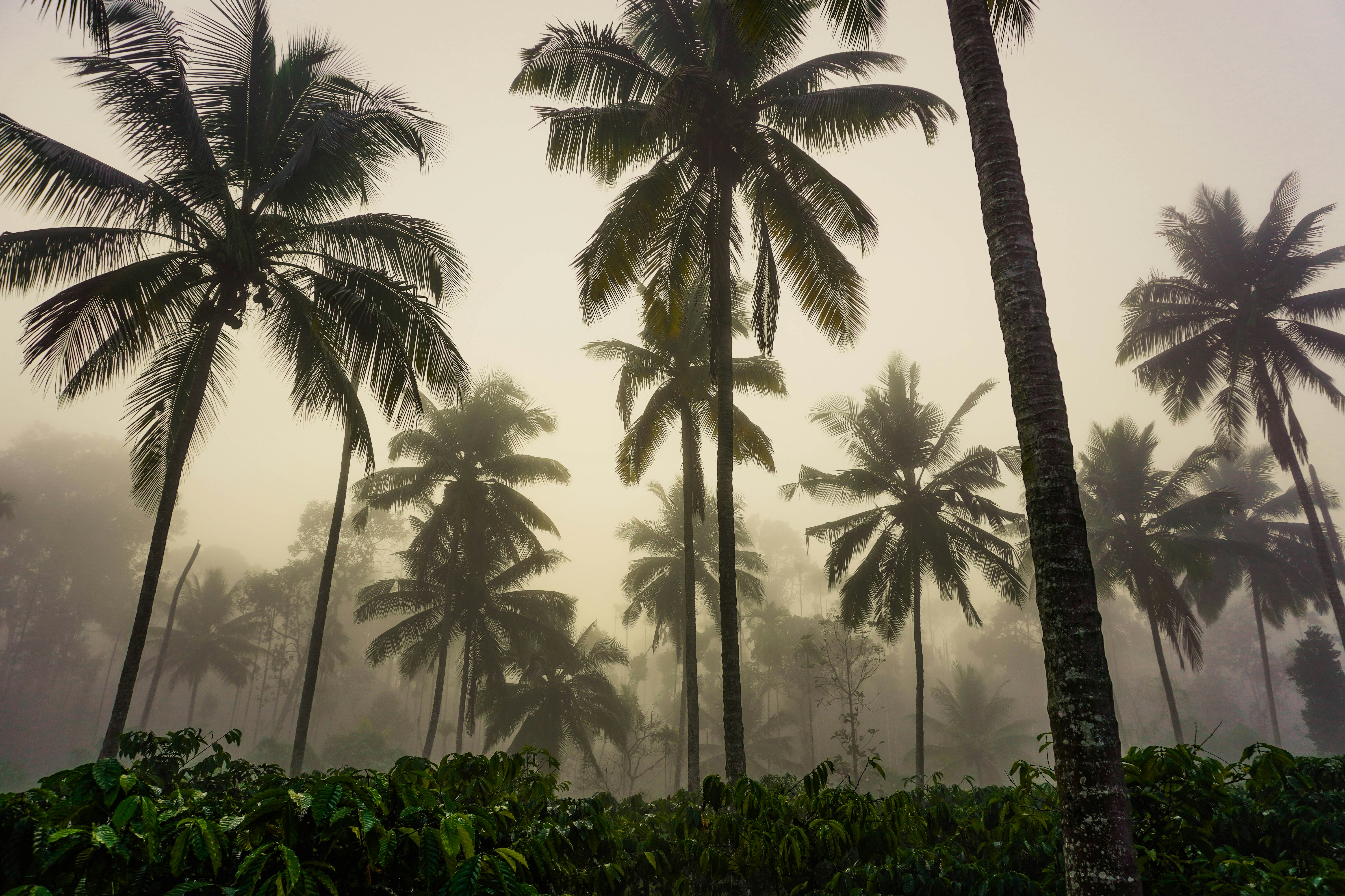 Photo by hardikmonga