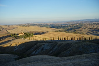 A picturesque landscape featuring rolling hills and a meandering road lined with tall, slender cypress trees. A rustic farmhouse is nestled among the trees, surrounded by cultivated land. The scene is bathed in warm, golden sunlight with a clear blue sky overhead, providing a vast, panoramic view of the countryside.