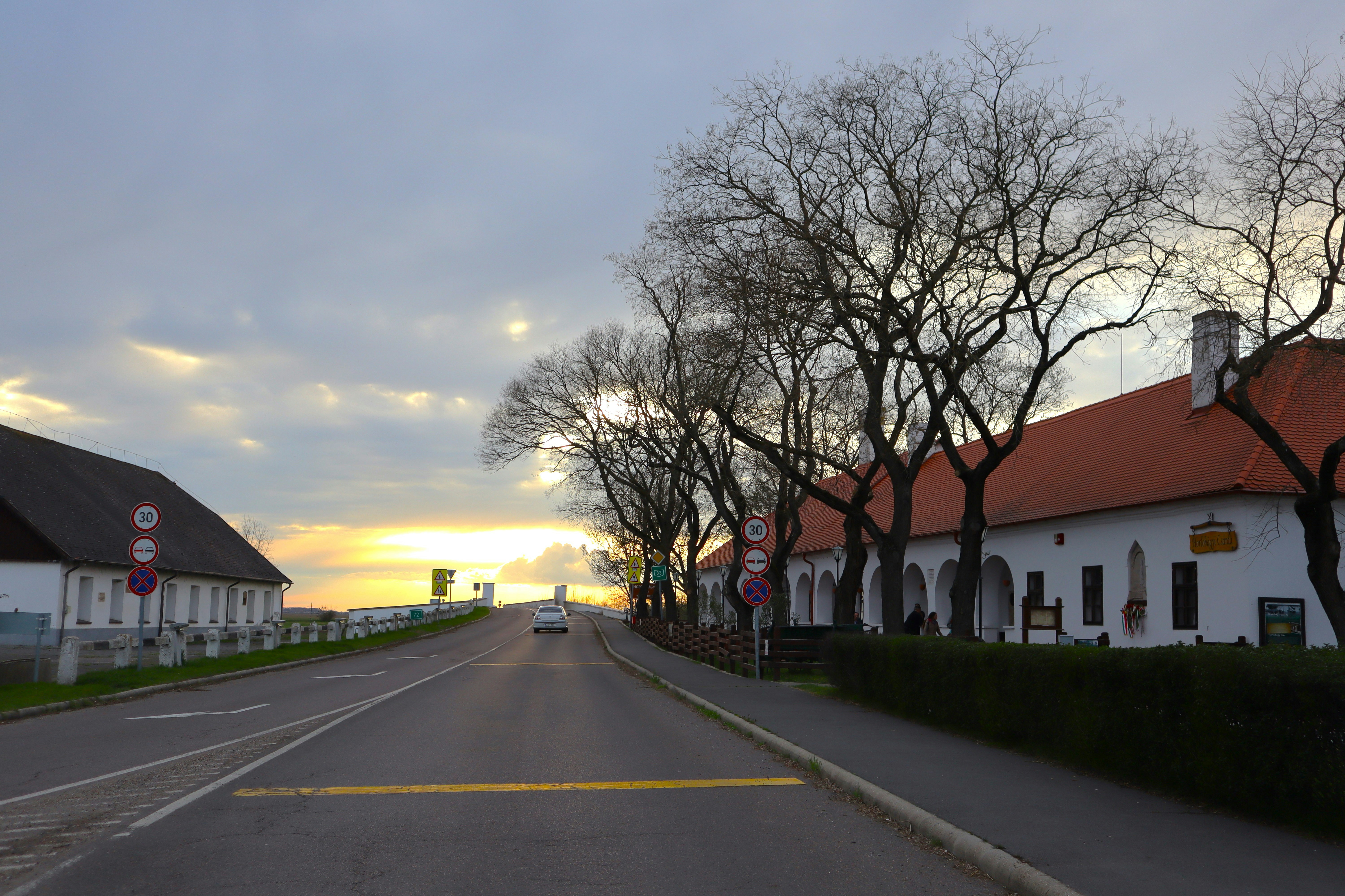 a street lined with white houses and trees