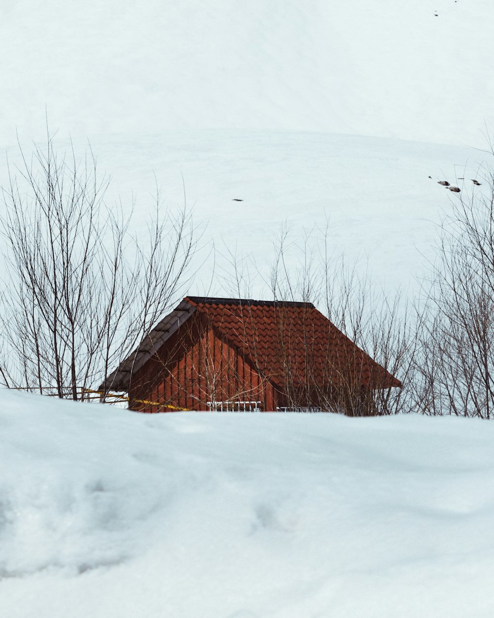 a cabin in the middle of a snowy field