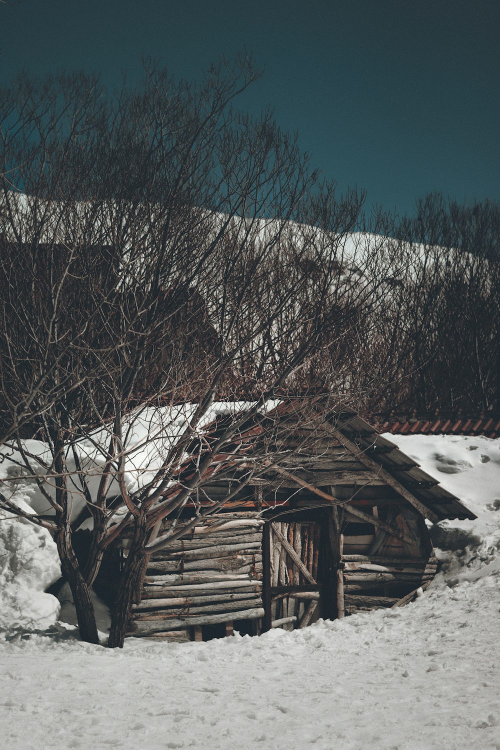 a small cabin in the middle of a snowy field