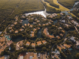 An aerial view of a lush, green landscape featuring a network of waterways interspersed with numerous buildings, most of which have brown roofs. The area is densely populated with trees, creating a natural and serene environment. The water reflects some sunlight, adding a dynamic quality to the scene.
