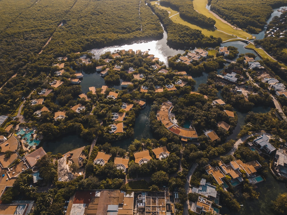 a bird's eye view of a river running through a lush green forest