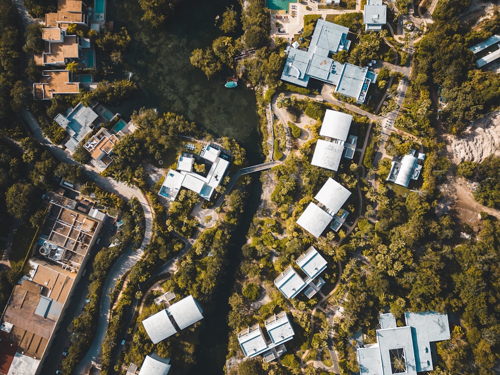 Une vue plongeante de quelques maisons dans les bois