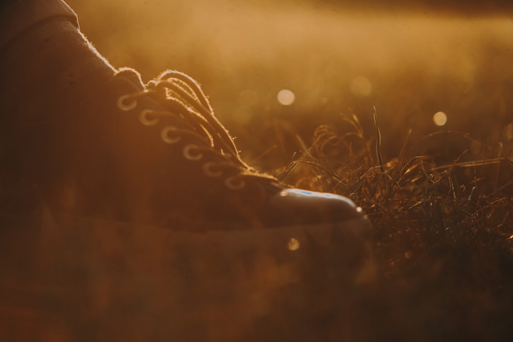 a person standing in a field with their shoes on