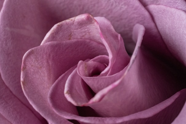 Close-up of delicate rose rosé fabric texture with subtle golden thread details.