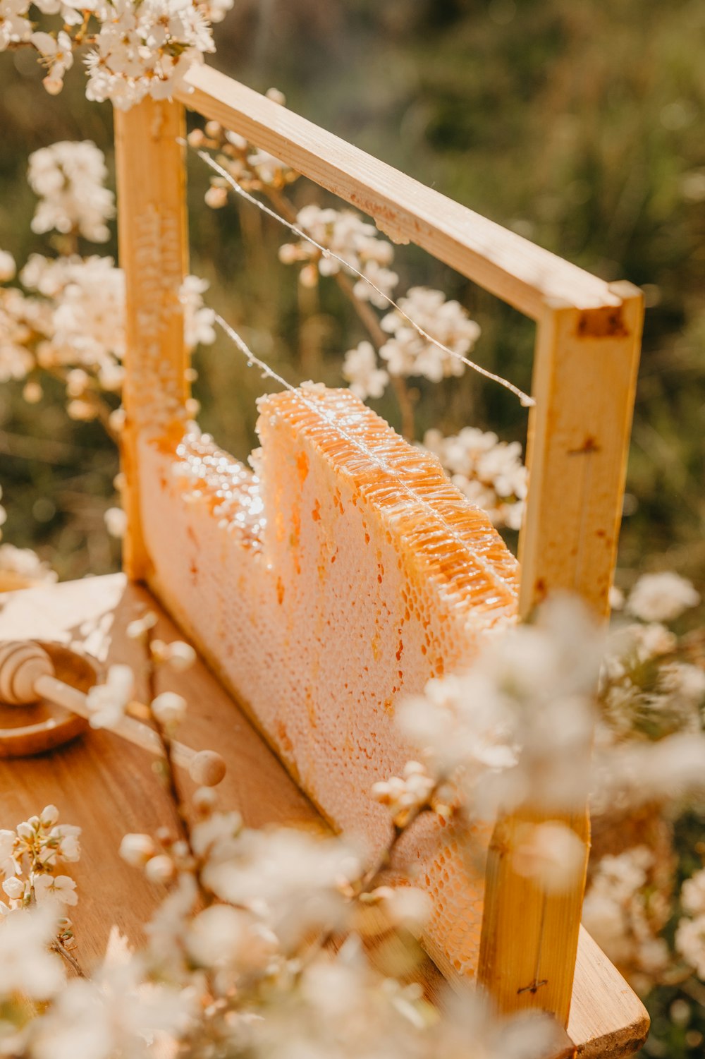 a beehive sitting on top of a wooden table