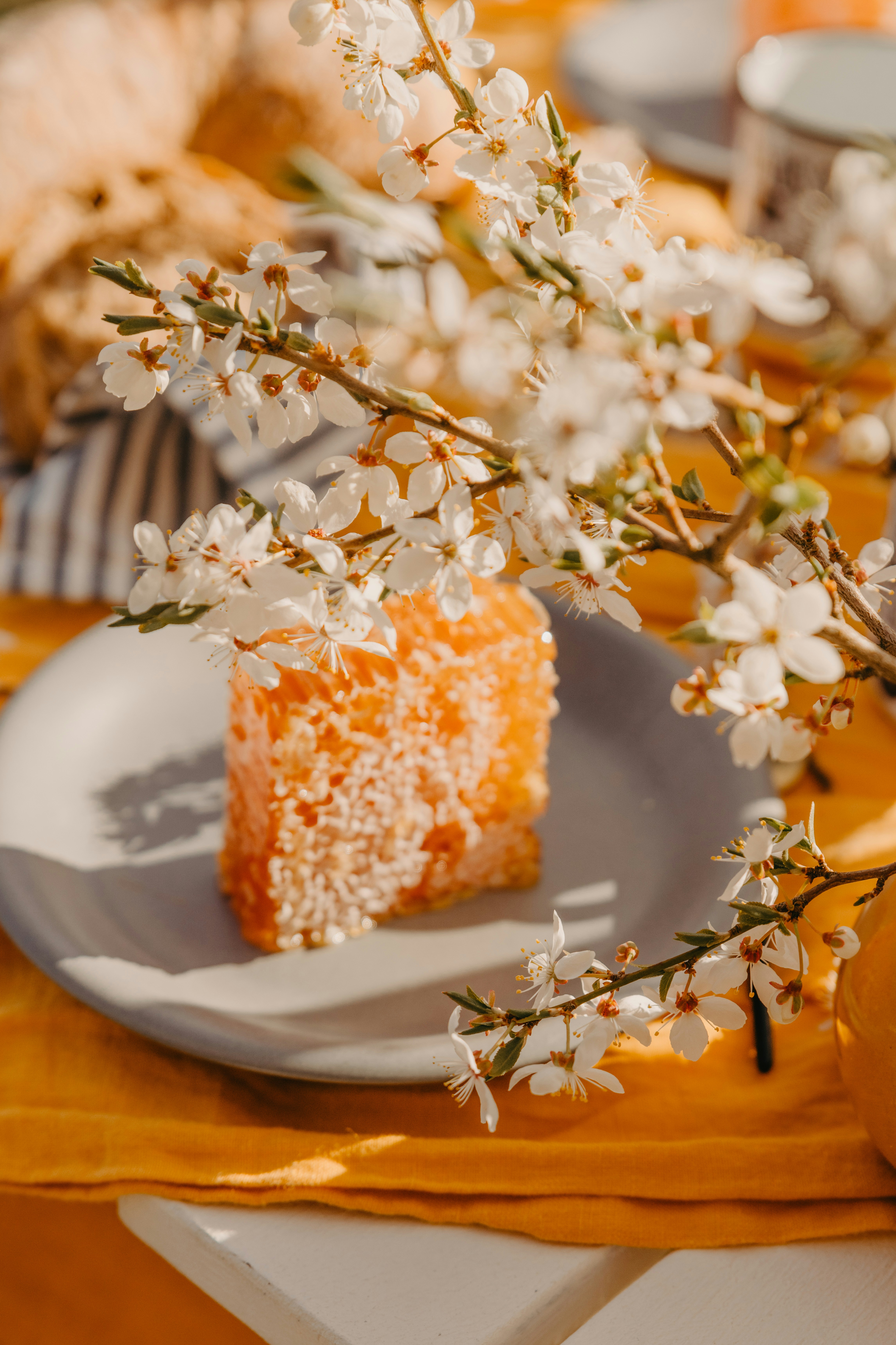 Photo by anitaaustvika