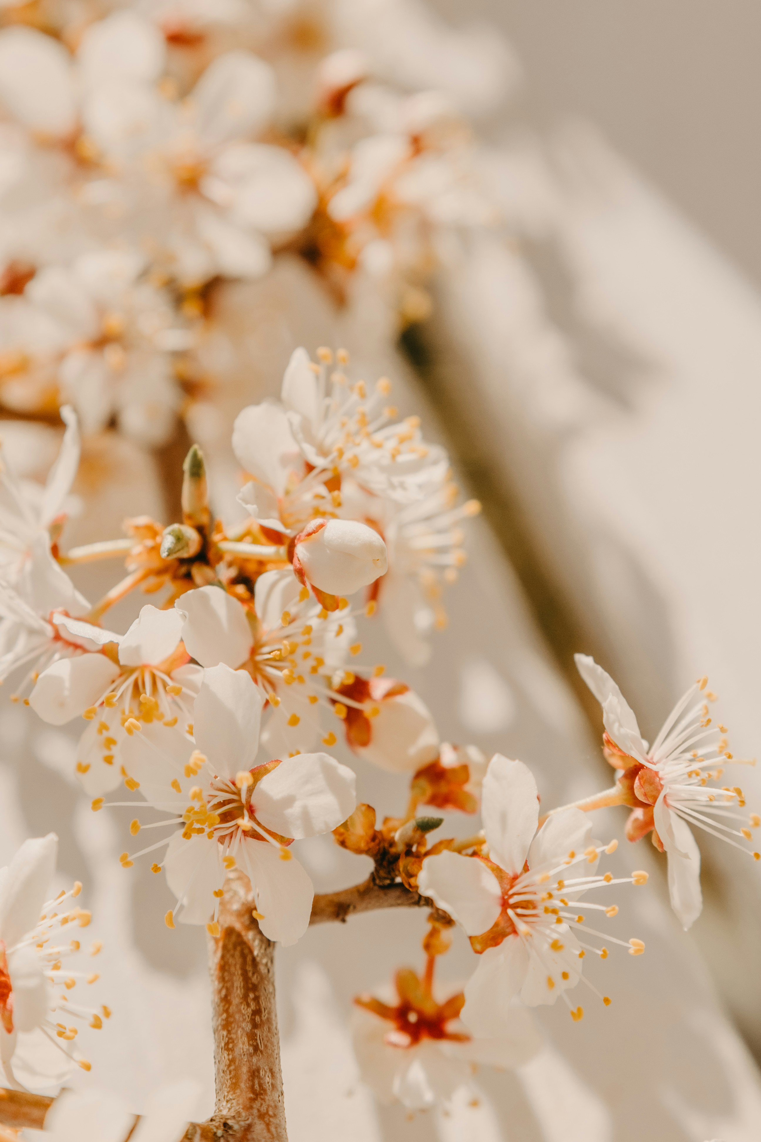 Photo by anitaaustvika