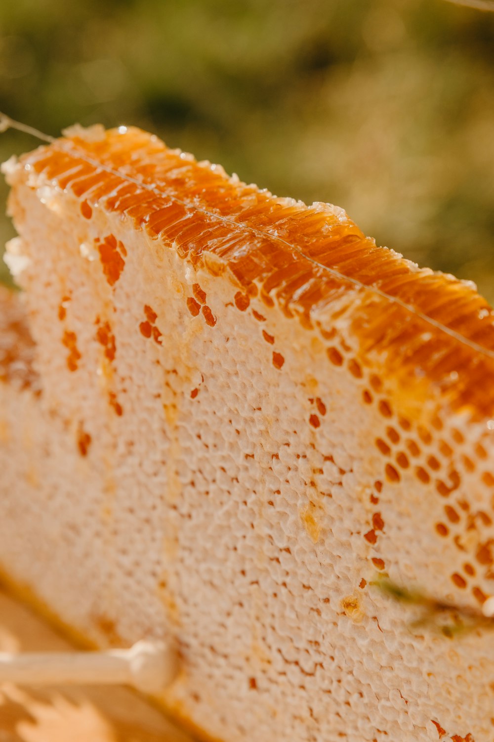 a close up of a slice of cake on a plate