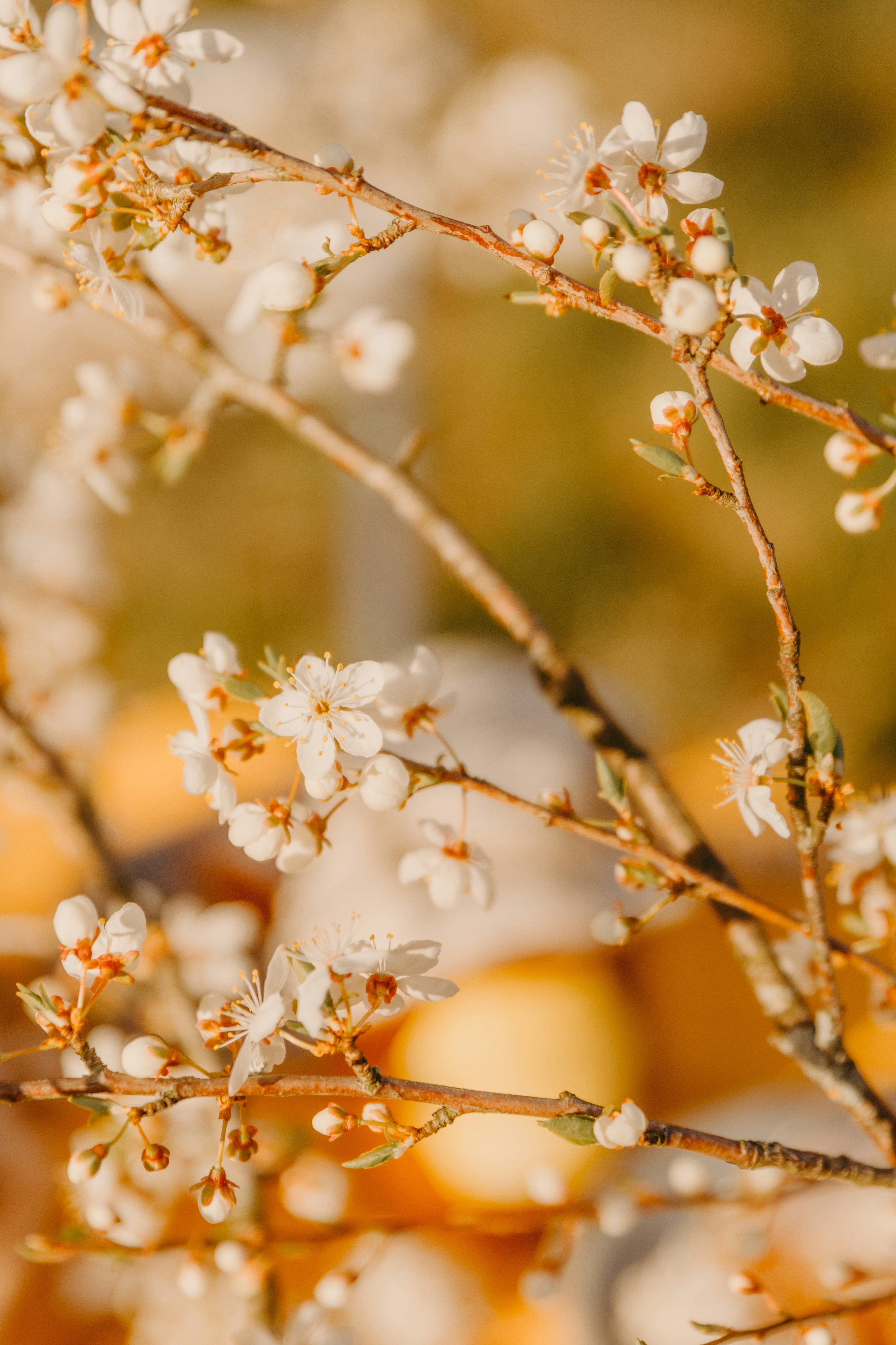 Photo by anitaaustvika