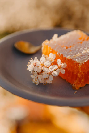 a piece of honeycomb sitting on top of a blue plate