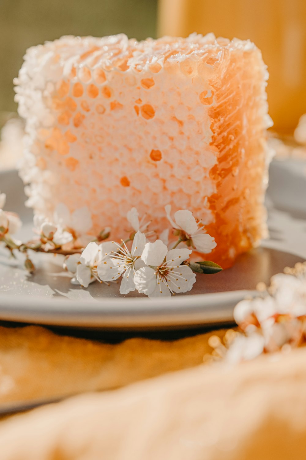 a close up of a piece of cake on a plate