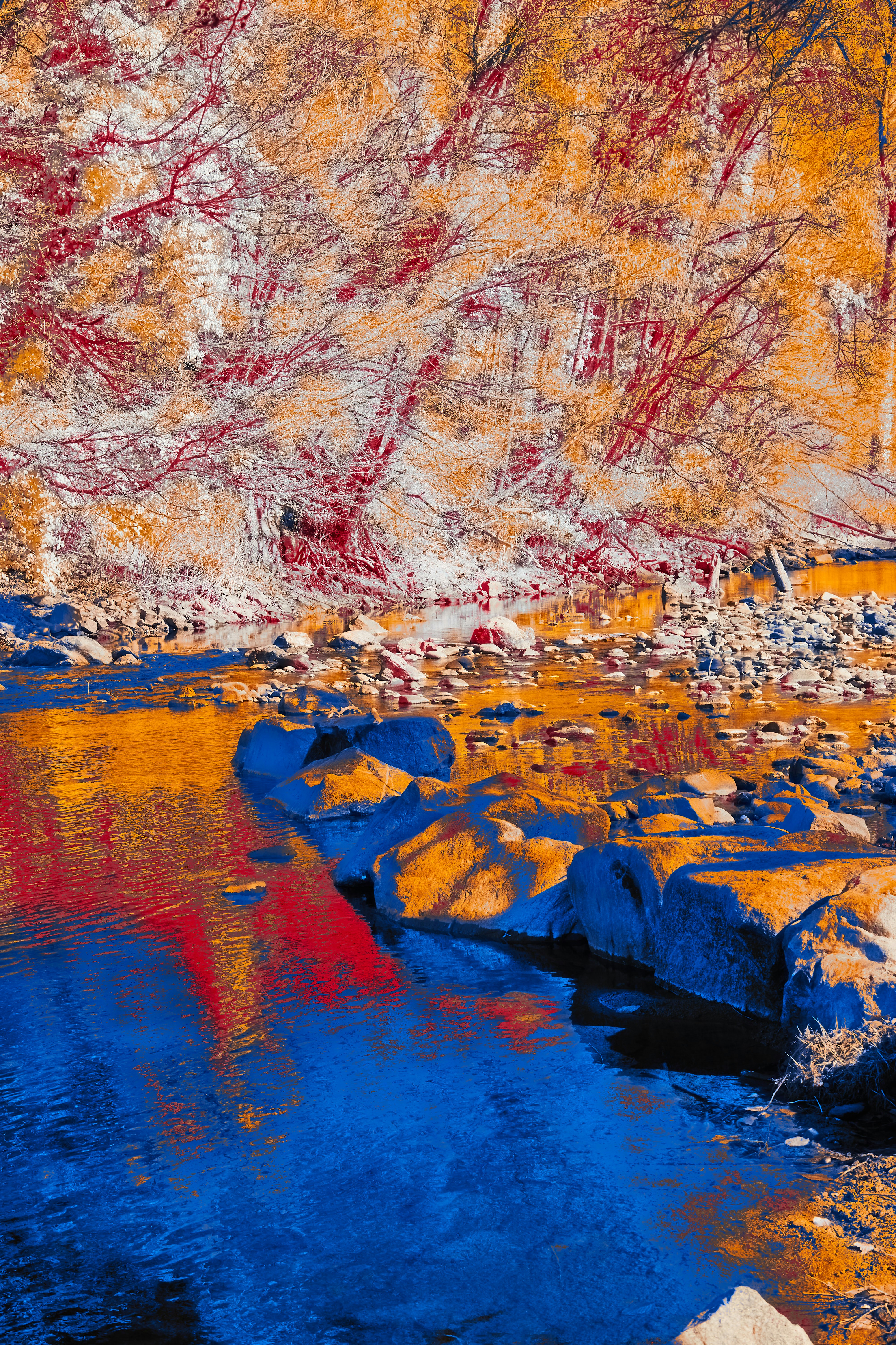 Photo by wolfgang_hasselmann