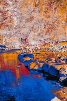 A vibrant, stylized landscape scene featuring a river reflecting bold hues of blue, orange, and red. The surrounding trees exhibit abstract, painterly colors with red and orange leaves. The overall composition includes scattered rocks along the water's edge, contributing to an impressionistic aesthetic.