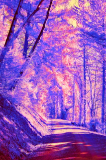 A stunning 3D animated forest scene bathed in soft purple twilight, showcasing intricate details and lifelike textures.