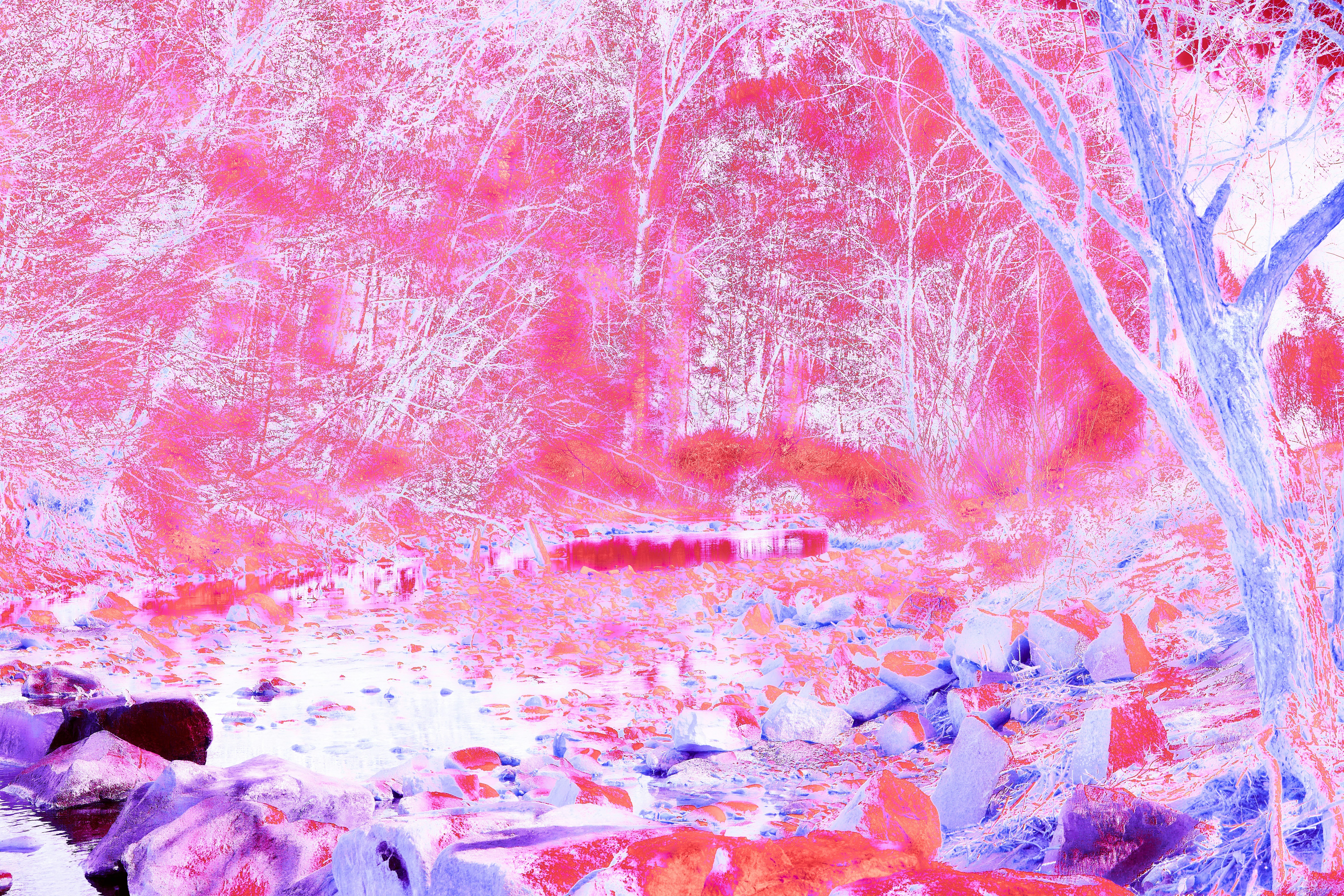 Photo by wolfgang_hasselmann