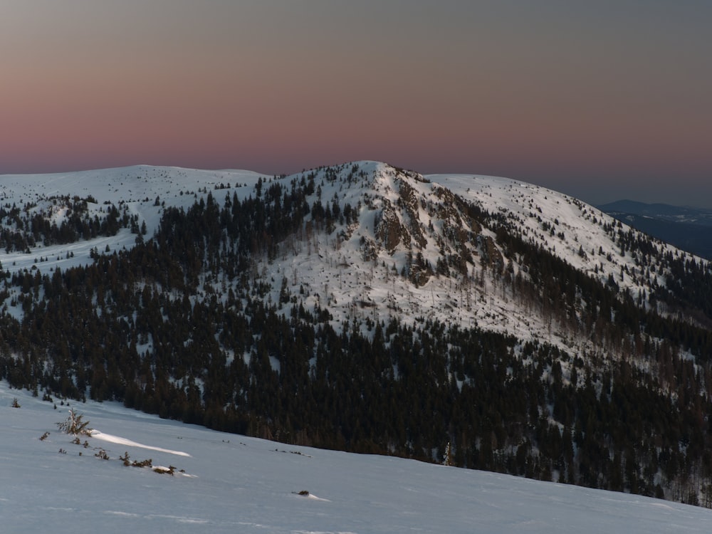 a mountain covered in snow and trees under a pink sky