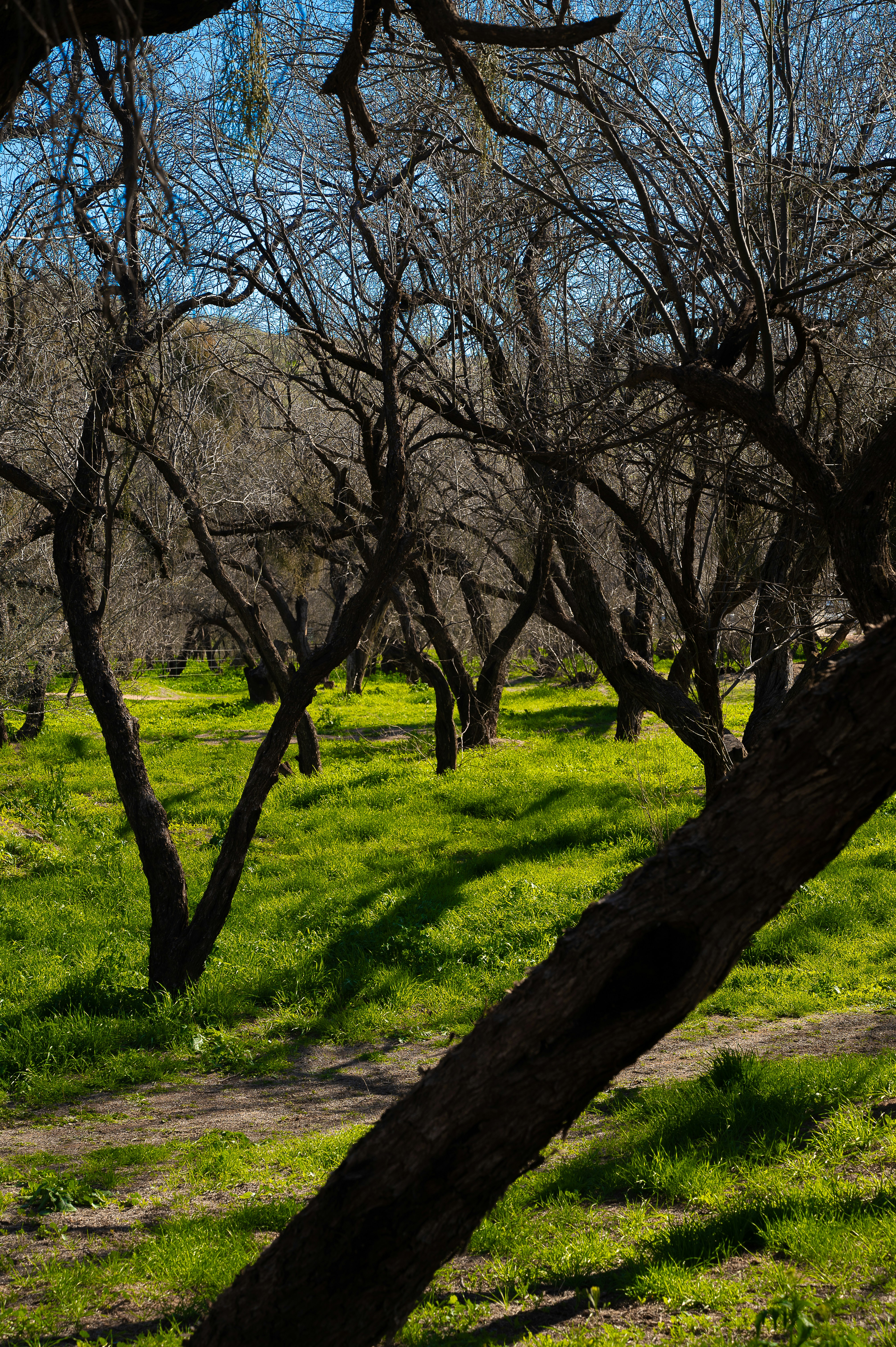 Photo by photosfortaniamelendez