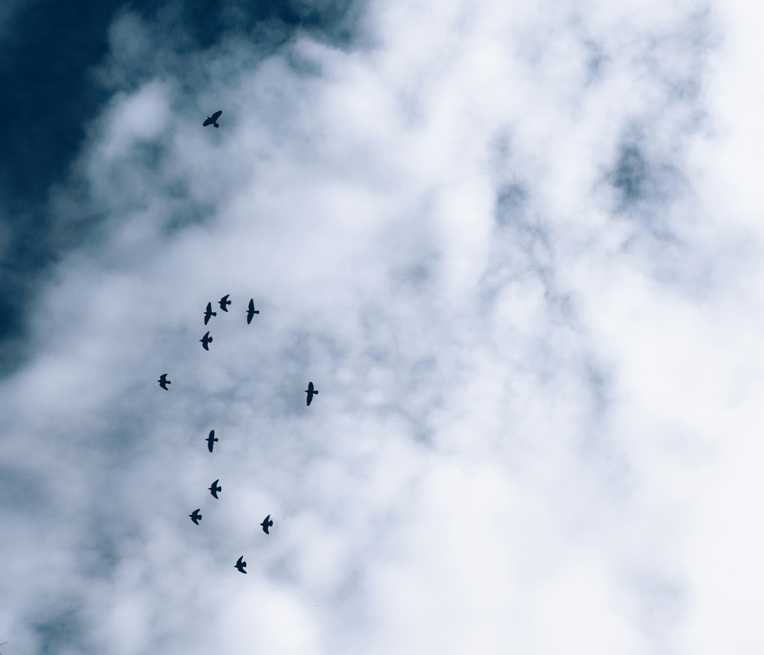 Photo by mohadsehmahd