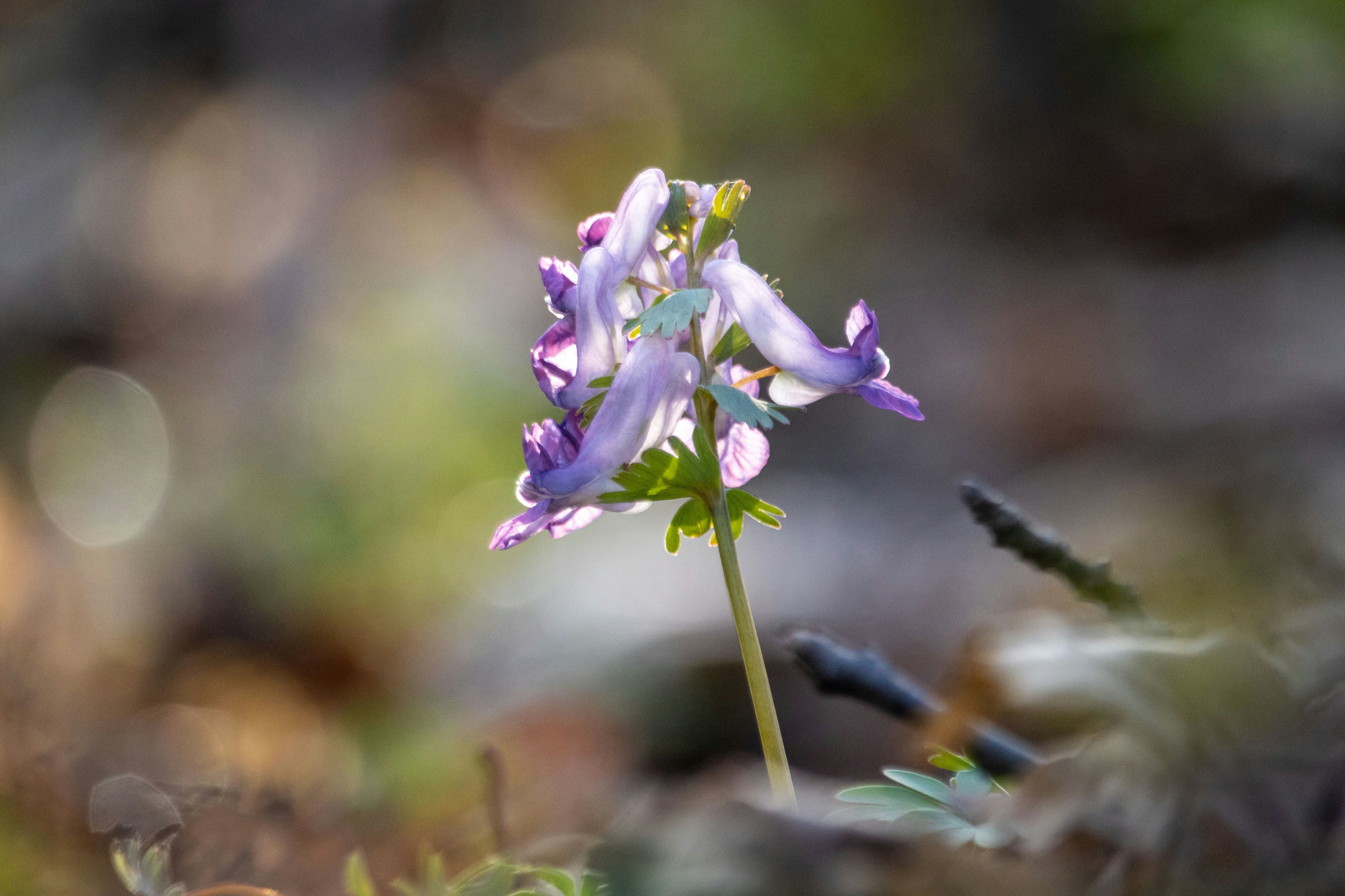 Photo by uin84917798