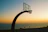 A smiling basketball player holding a medal against a vibrant coastal backdrop during sunset.