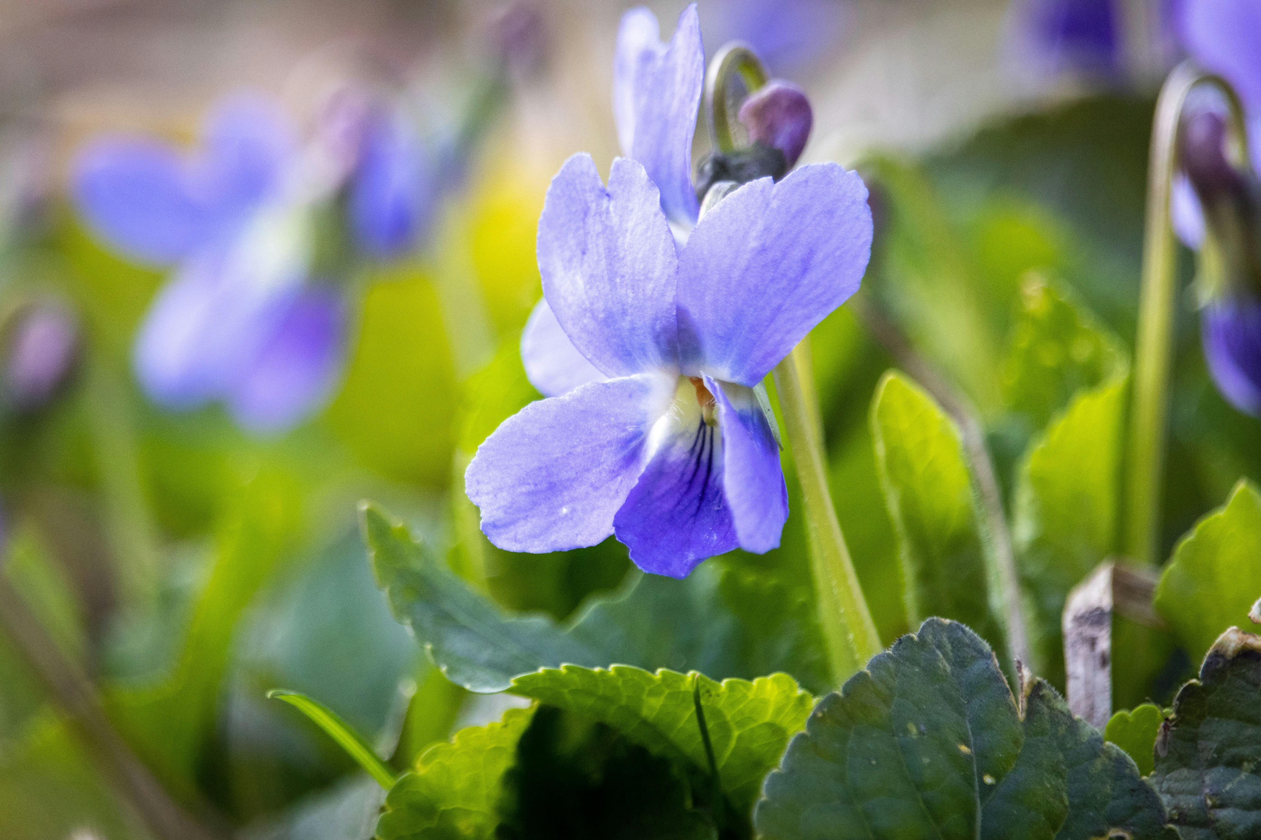 Photo by uin84917798