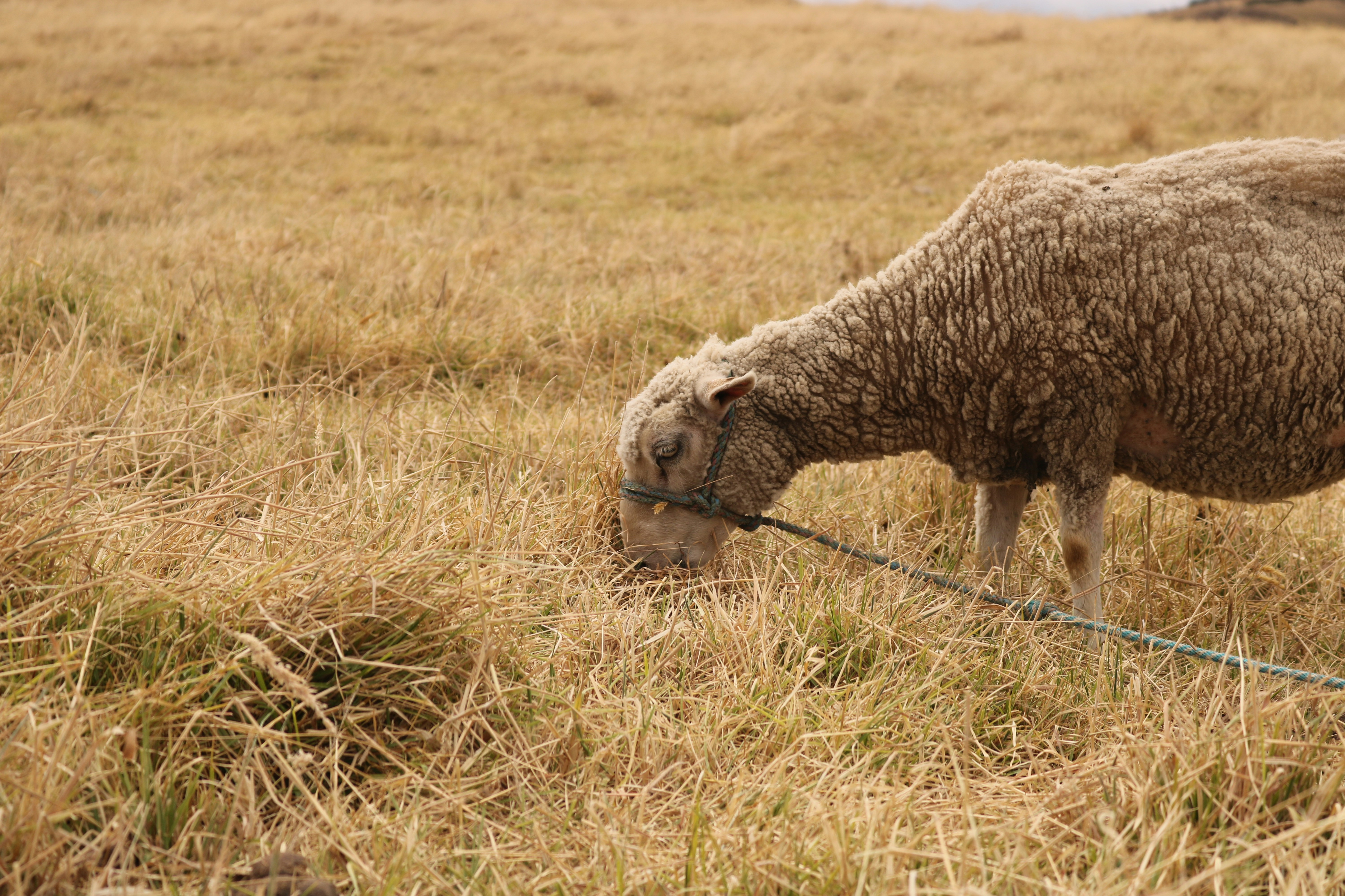 Photo by julianamoralesr_