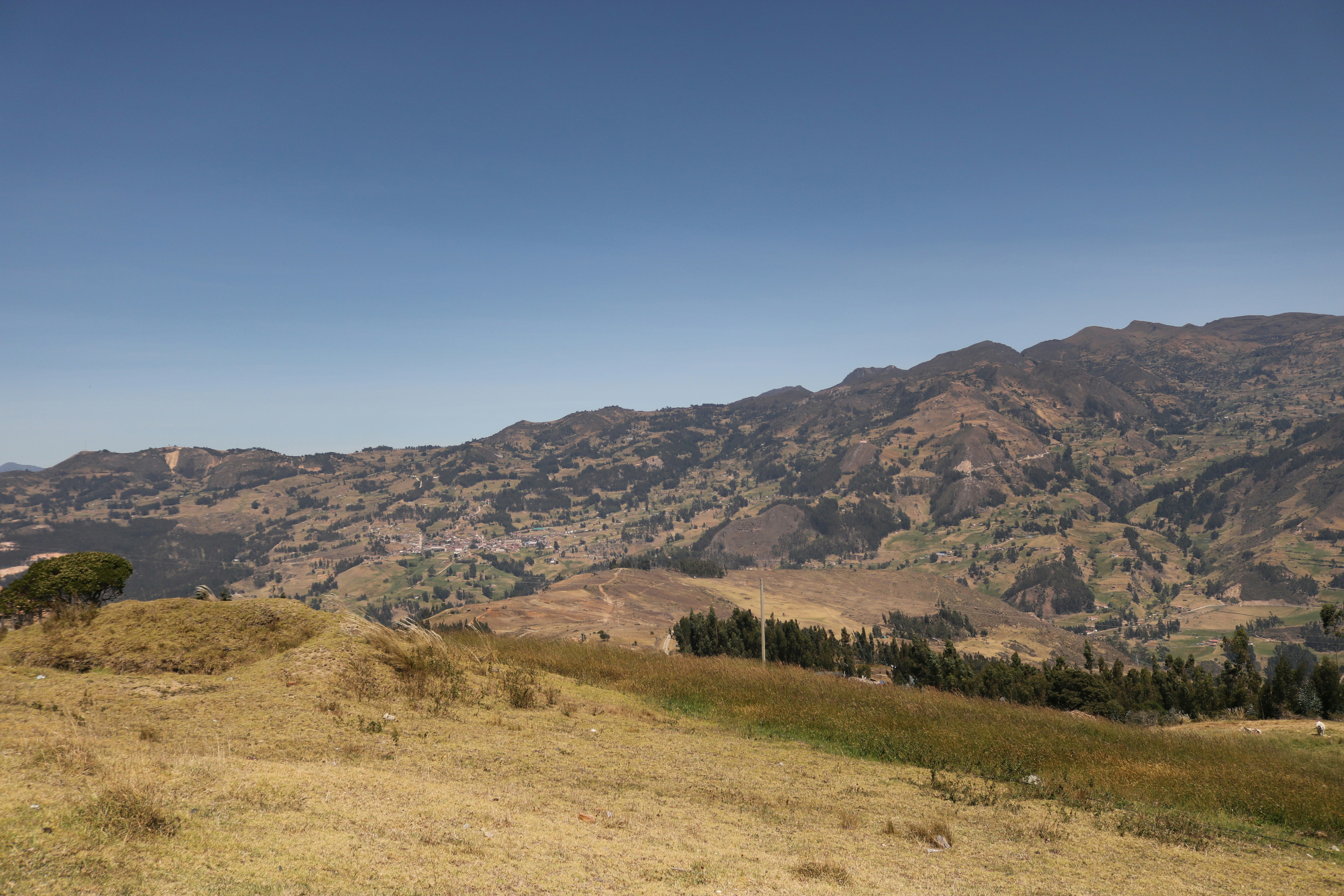 Photo by julianamoralesr_