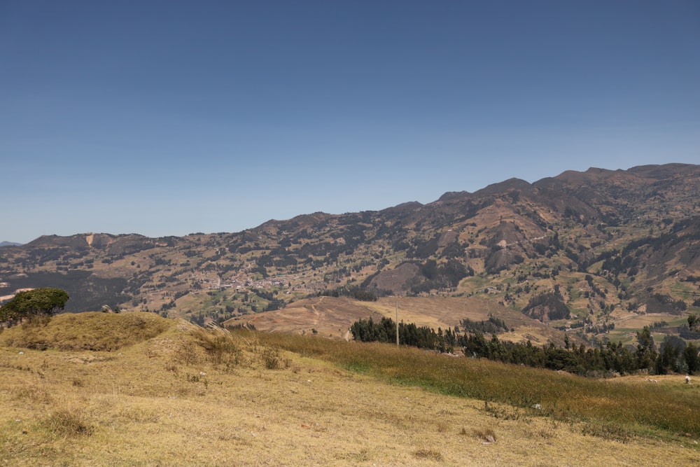 a grassy field with mountains in the background