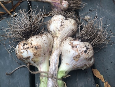 Freshly harvested garlic, potatoes, and onions laid out on a rustic wooden table.