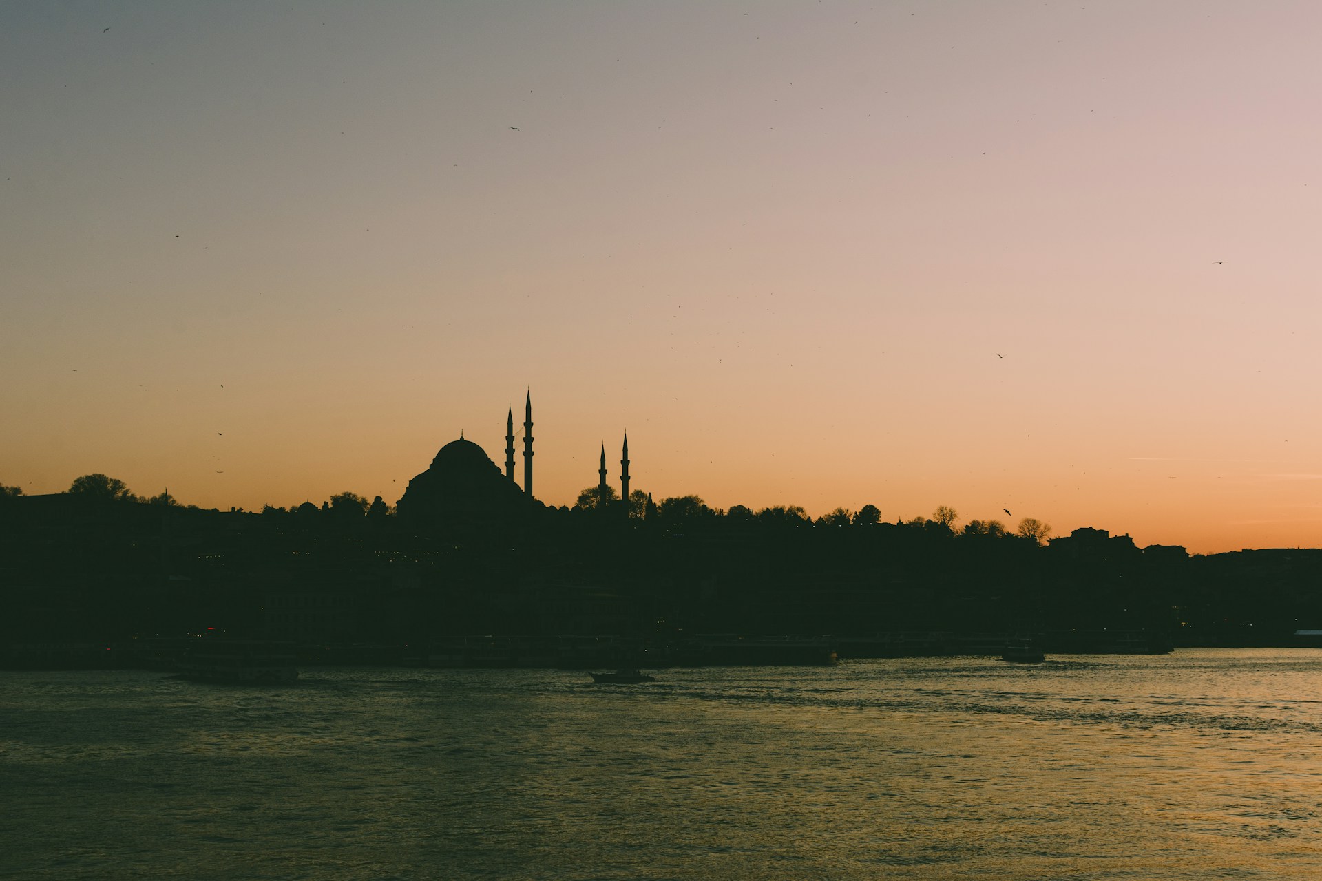 gray computer monitor