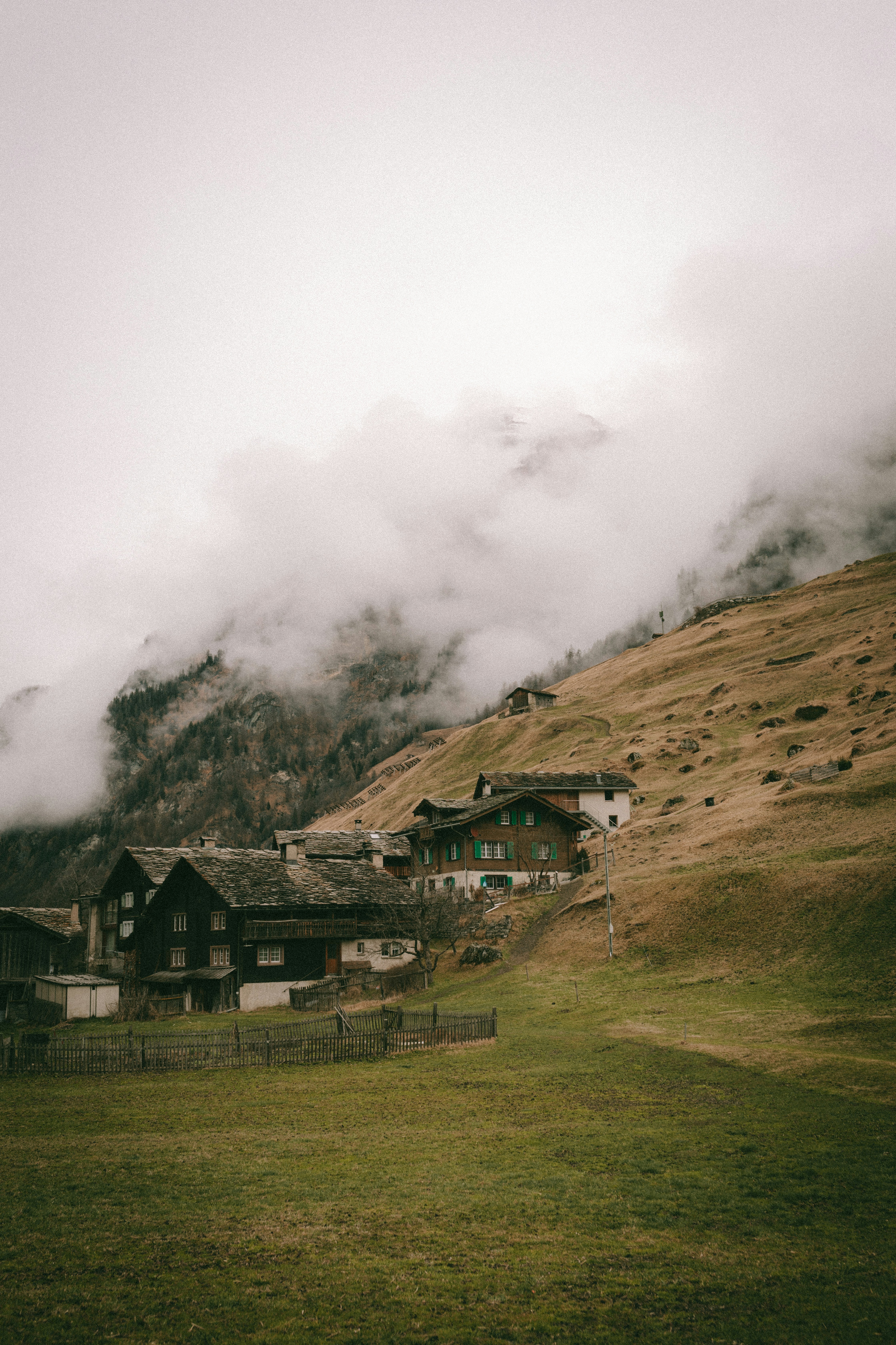 Photo by corina_rainer_