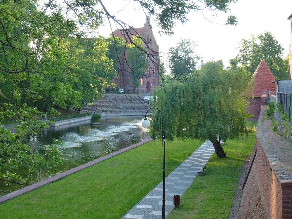 a view of a park and a river from a building