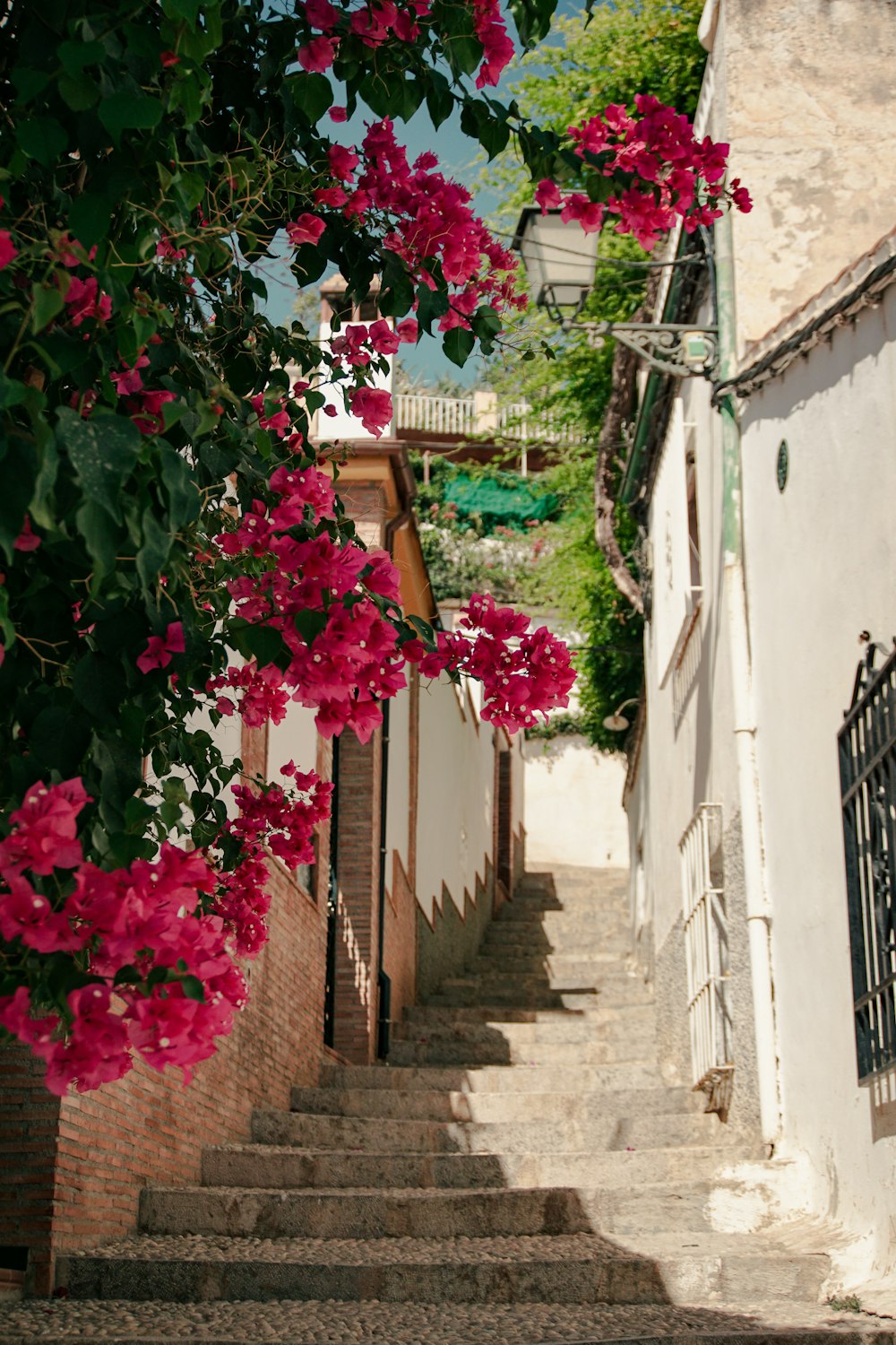 a set of stairs with pink flowers growing over them